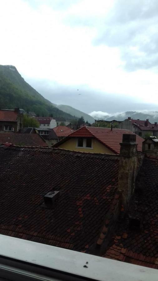 Ferienwohnung Alexandra 'S Studio Brașov Exterior foto